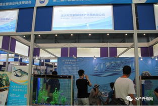 近500家水產產業鏈企業齊聚合肥漁博會，現場亮點紛呈，行業盛事引領產業新方向